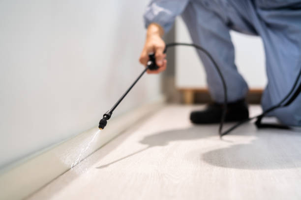 Licensed Pest Control service in St. Pauls, NC - Show Me Pest Control