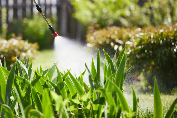 24/7 Emergency Mosquito Control experts in St. Pauls, NC
