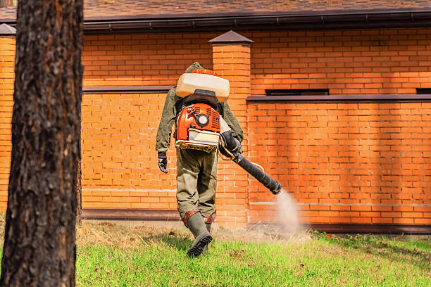 Top rated local Mosquito Control specialists in St. Pauls, NC